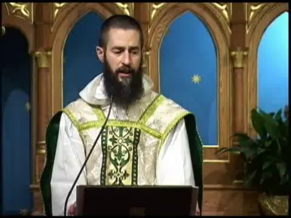 Jul 29 - Homily:  Don't Worry So Much About Things