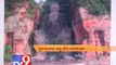 Tv9 Gujarat - Gujarat planning to set up the world’s tallest stupa,2