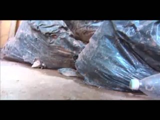 lluvias afectan a Cuavanenses