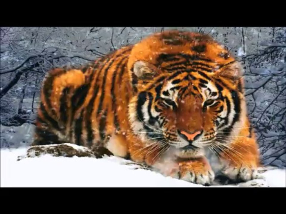 I Dreamed A Dream -  Les Miserables