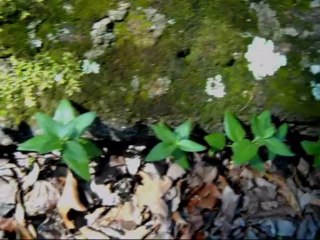 Alex Kozobolis...Eye to Eye