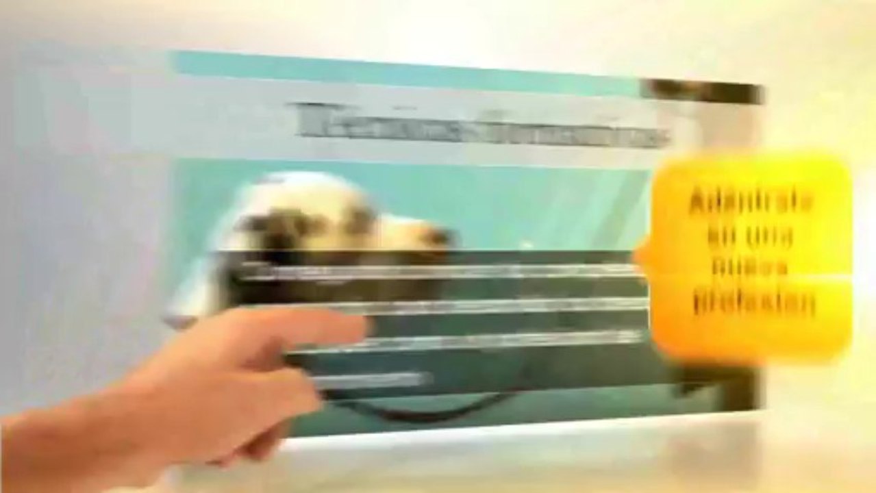 Curso de Adiestramiento canino