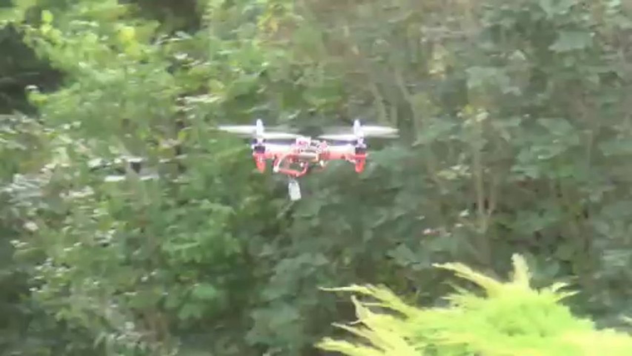 Essais DJI F330 - Naza.