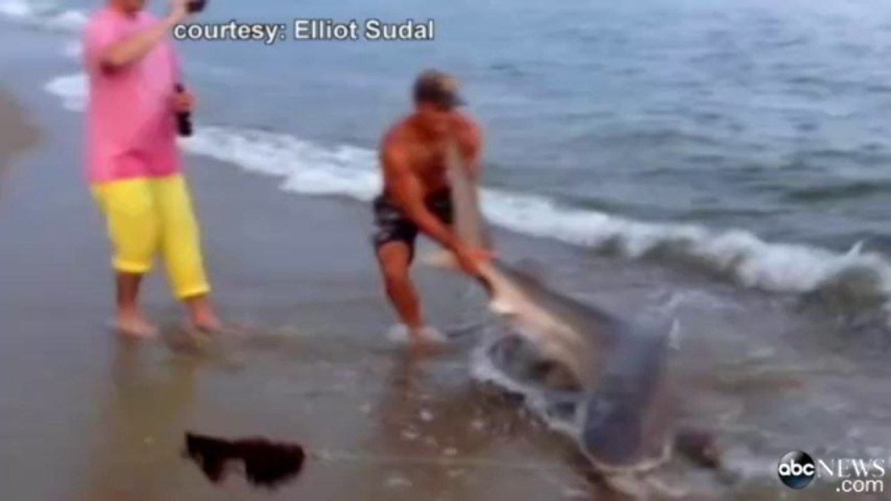 Man VS Shark