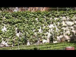 [ARCHITEACHING] Spain Reunion - Gardens of Generalife