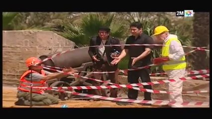 جار و مجرور : أحمد شاكر