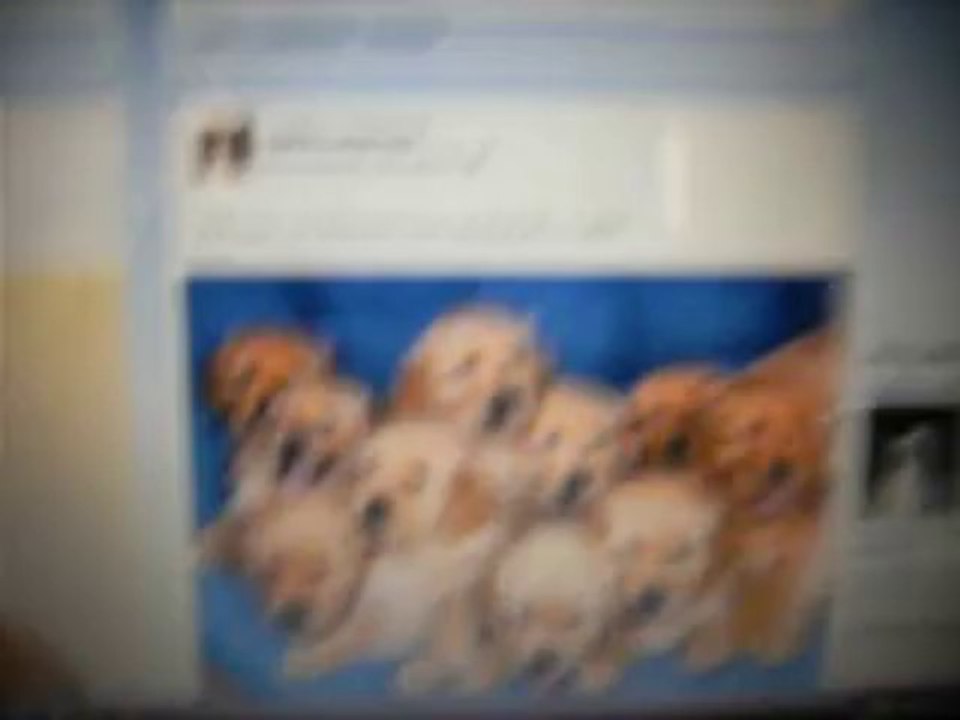 presentation de ma page facebook