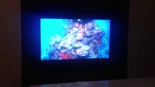 Test shot of NeW app 1080p
