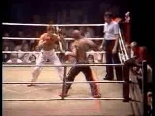 Highlights - Rob Kaman