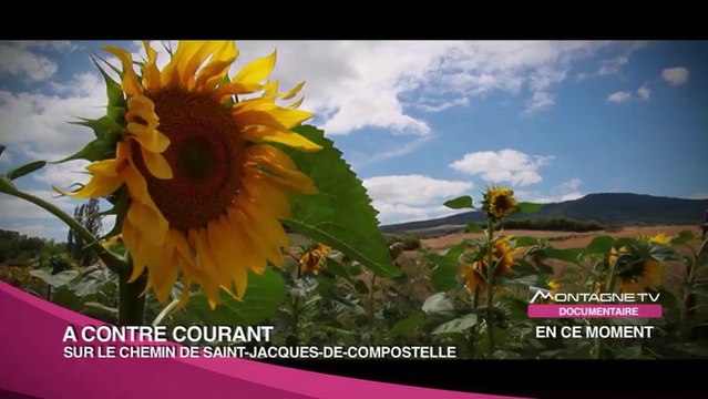 À contre courant, sur le chemin de Saint-Jacques-de-Compostelle - Bande Annonce