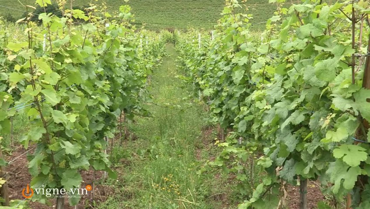 Concours Trophées Installation - Alsace - Sébastien Hubert