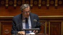 Roland Ries au Sénat sur le texte contenant l'Eurométropole de Strasbourg