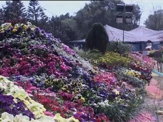 Flower Exhibition at ARID University of Horticulture Department