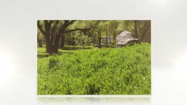 Allstate Tree Service (985) 227-9918