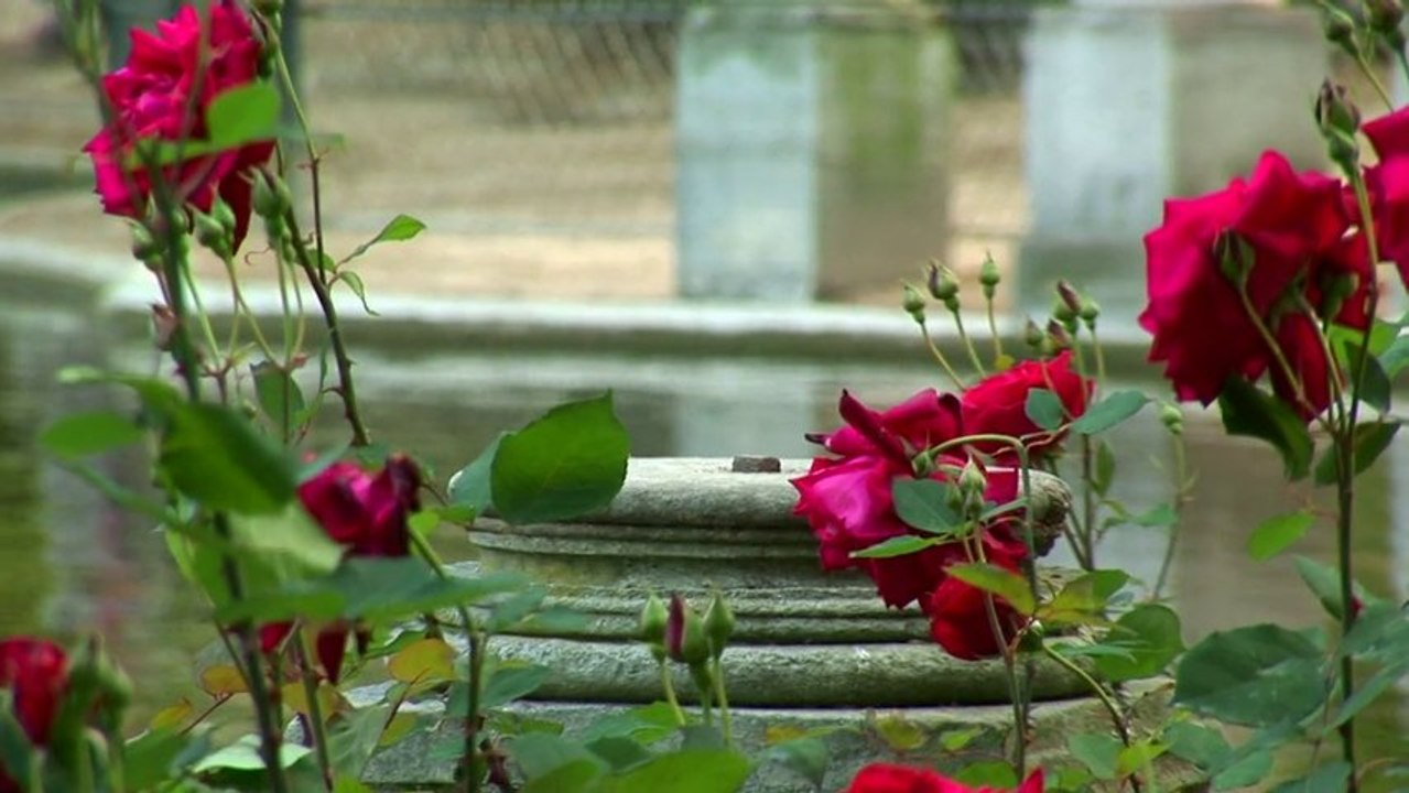 ANCIEN   AYRAUD Priscille et Stephane -  petite  amorce sans musique-QuickTime H.264