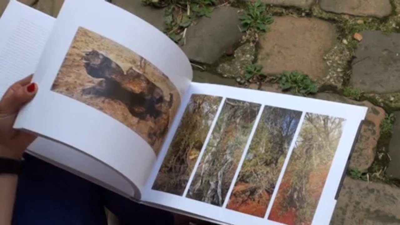 Chronique vidéo de l'ouvrage photographique « Poétique des formes » de Bruno Réquillart