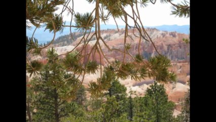 Bryce Canyon & Laughlin: Explore Natural & Scenic Wonders