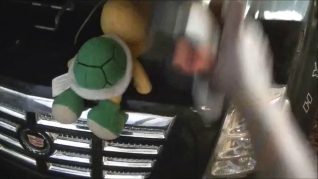 Black Yoshi vs Koopa