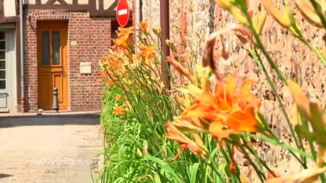 Balade à Lyons-la-Forêt