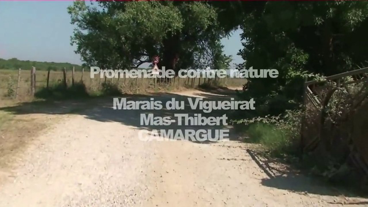 Promenade Contre Nature