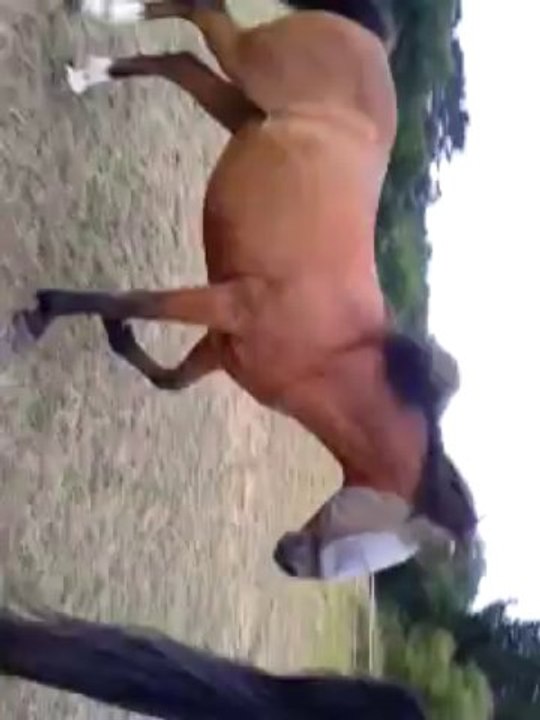 video-2013-07-30-19-03-11