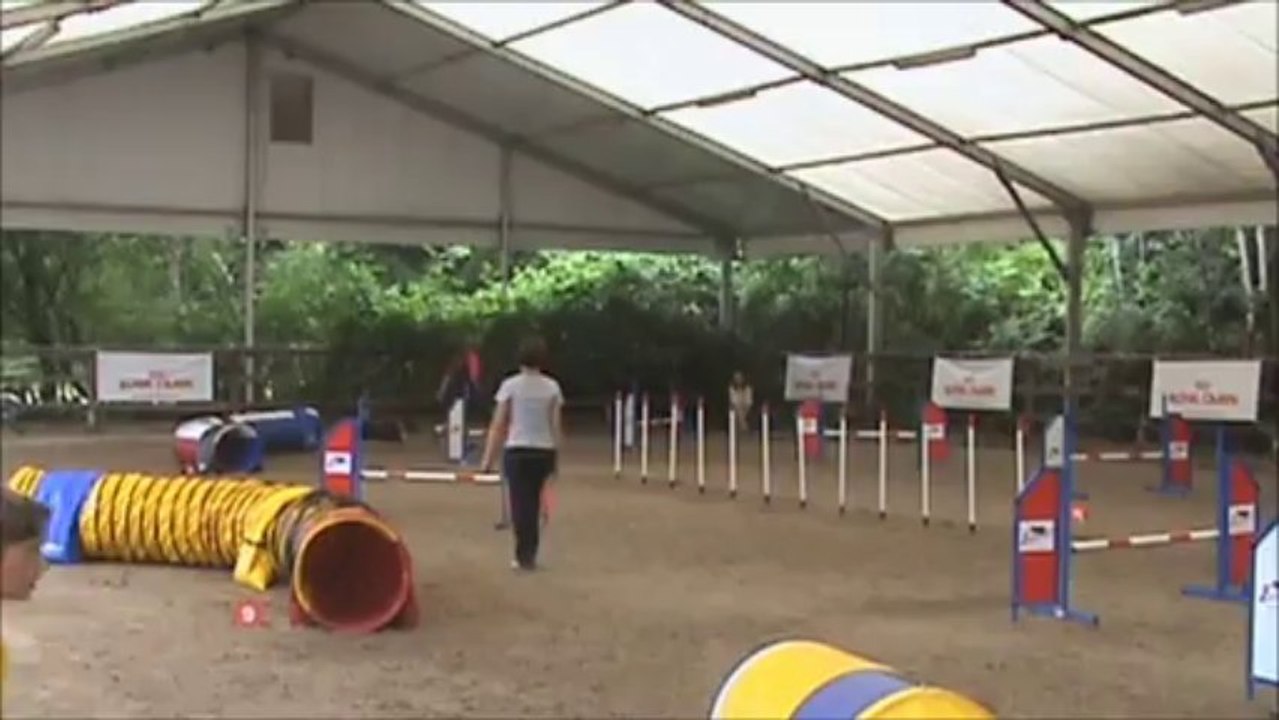 EO  BELGIQUE 2013 EQUIPE MEDIUM