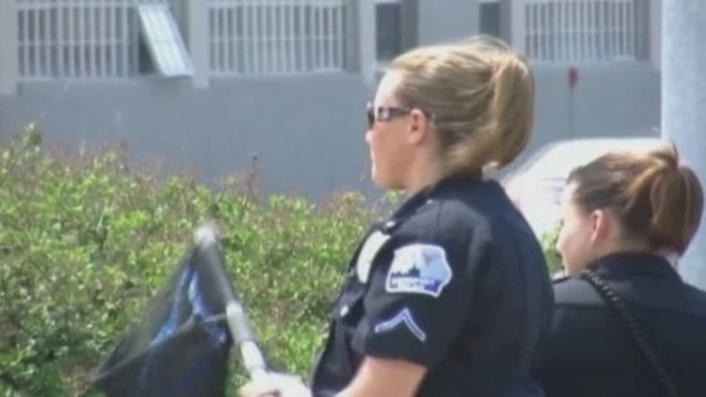 Angry birds strike pedestrians