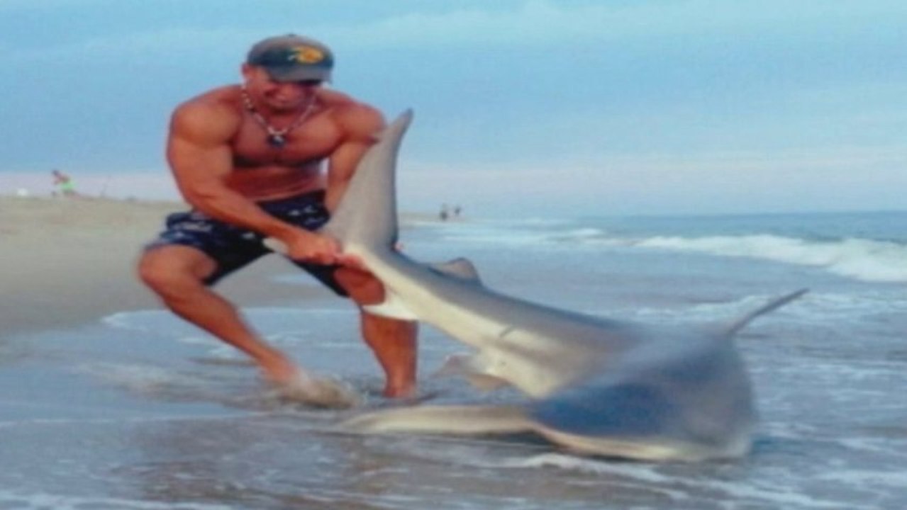 Man wrestles shark onto beach