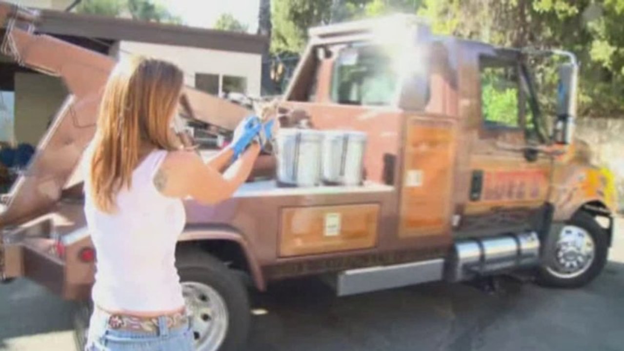 Kitten survives trip in car engine