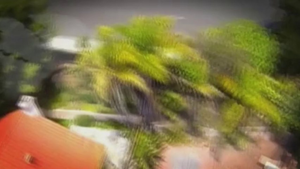 Hawk's repeat attacks plague family