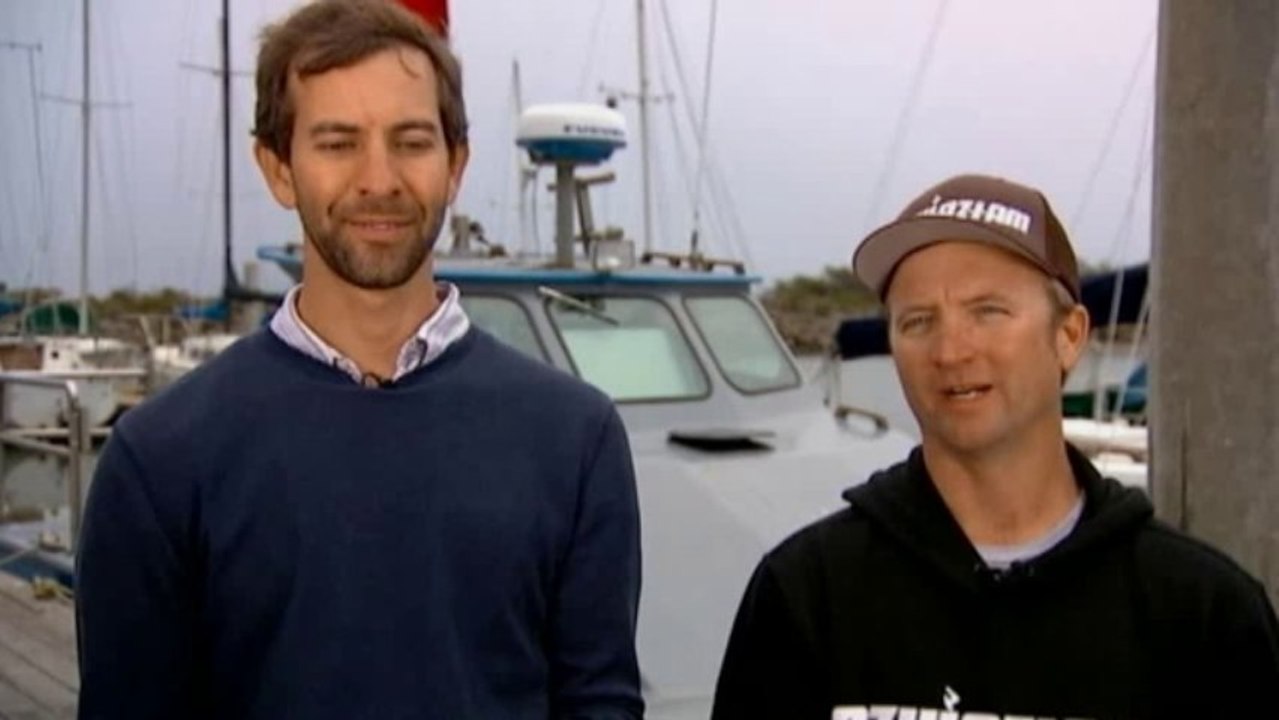 Whales almost swallow divers whole