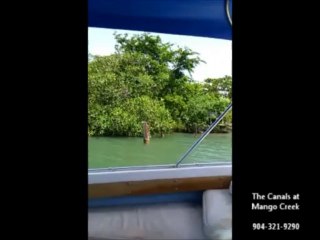 Property in Belize |The Canals at Mango Creek |904-321-9290
