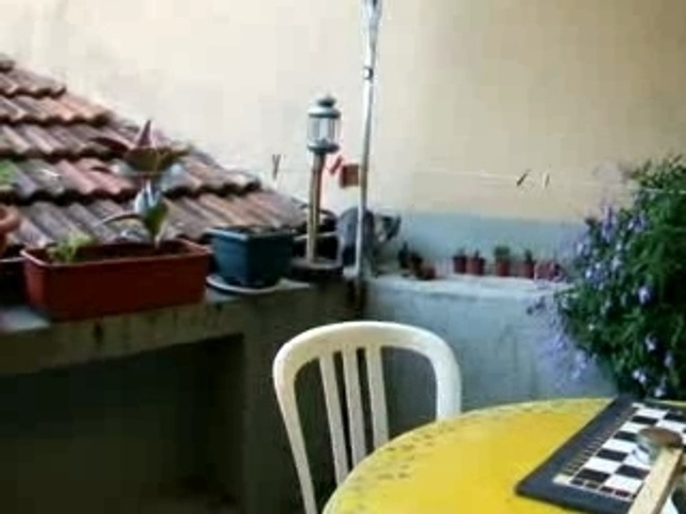 Même pas peur des cactus...