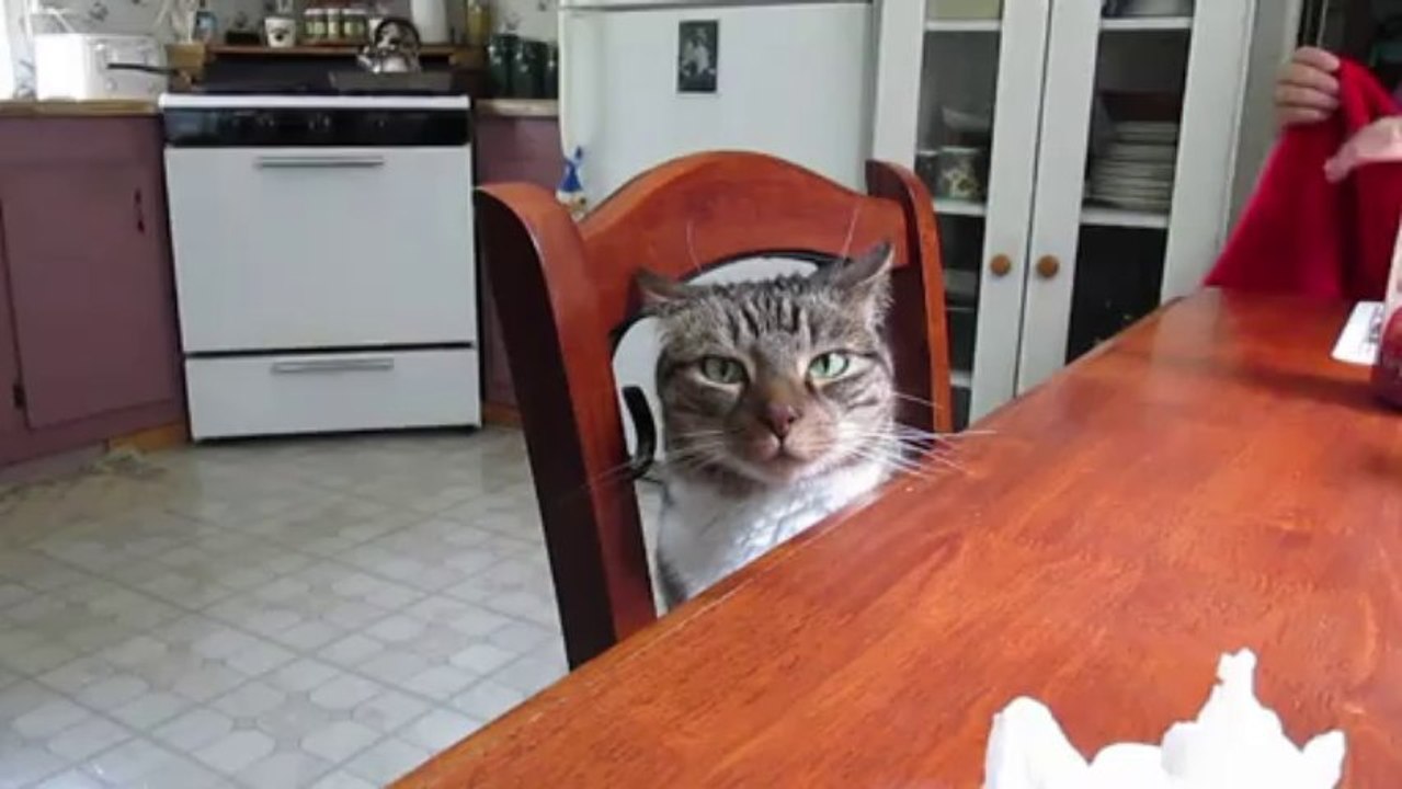 Misty at the Table