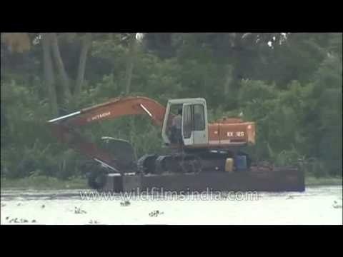 Truck on boat - Kerala backwaters