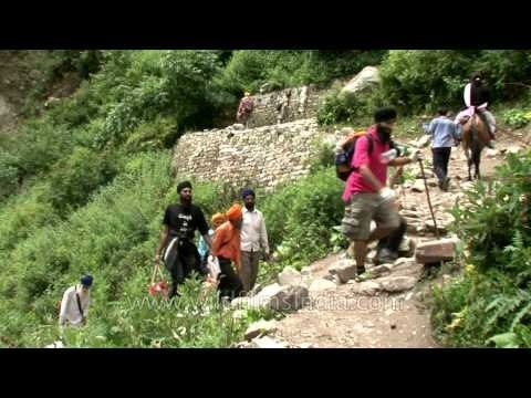 Pilgrims passing through the lush green pastures during Hemkunt Sahib Yatra