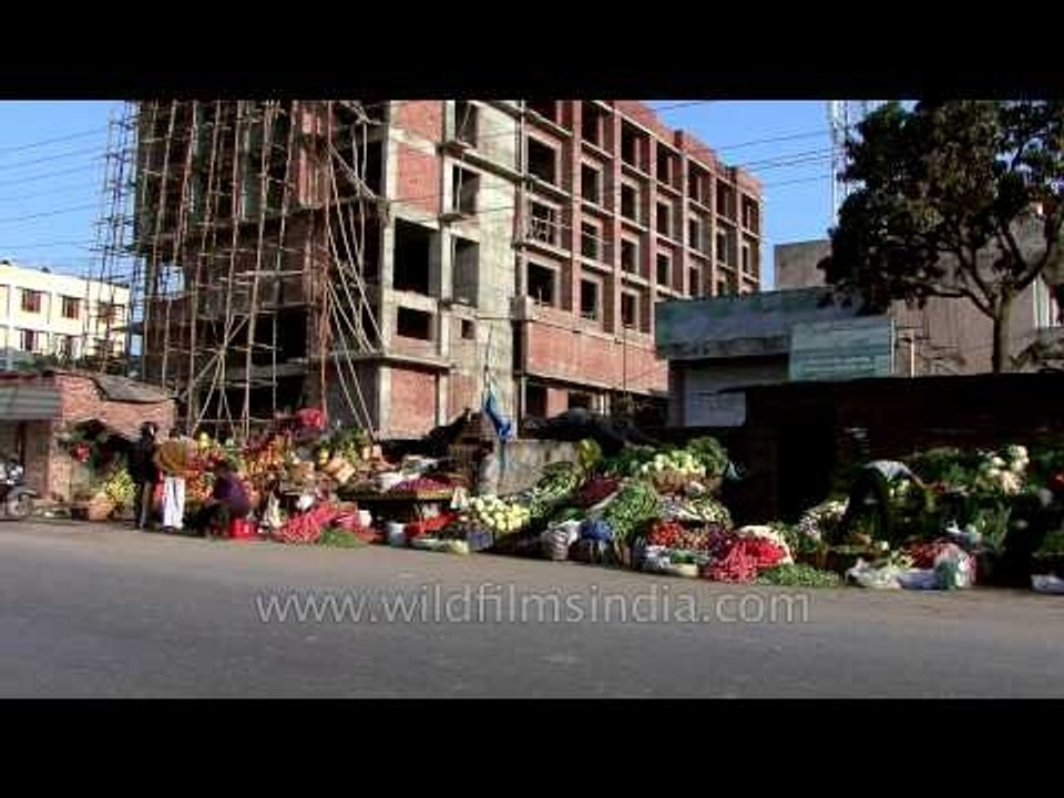 Vegetable vendors amid unbridled development, Dehra dun