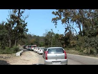 Traffic jam in the middle of Rajaji, en route Dehra dun