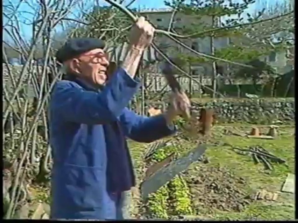 L'Arbre à Fourche (Pascal Privet)