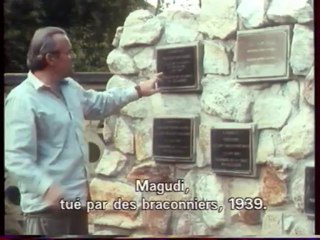Le Gel de l'Ivoire (Marc Hureaux)