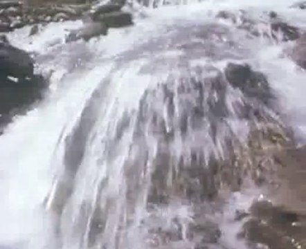 Многоликая среда обитания. Серия Экология. Фильм 2-й.