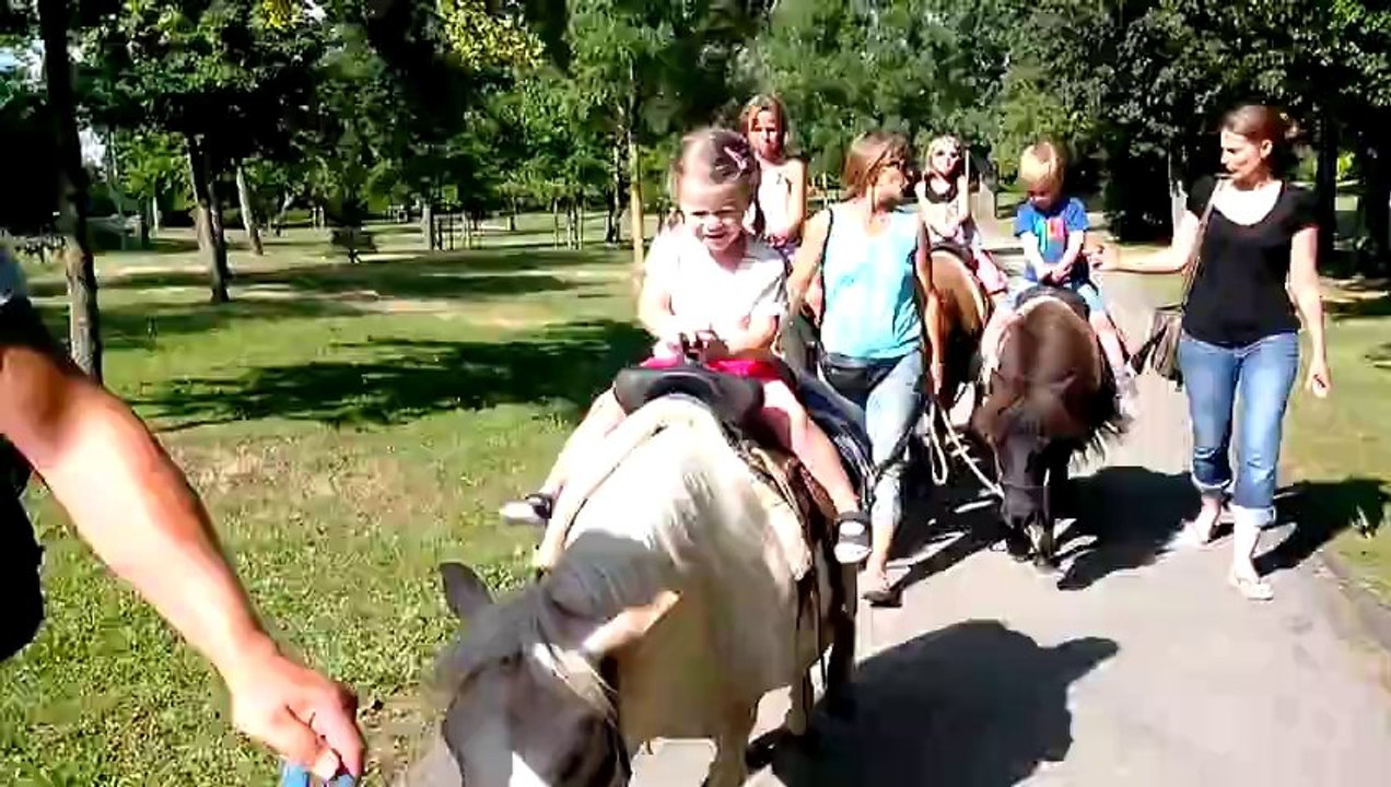 VID_20130730_174315