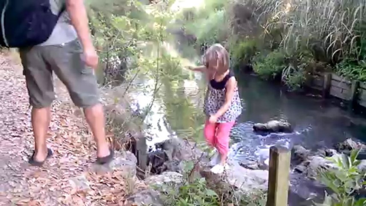 VID_20130730_181455
