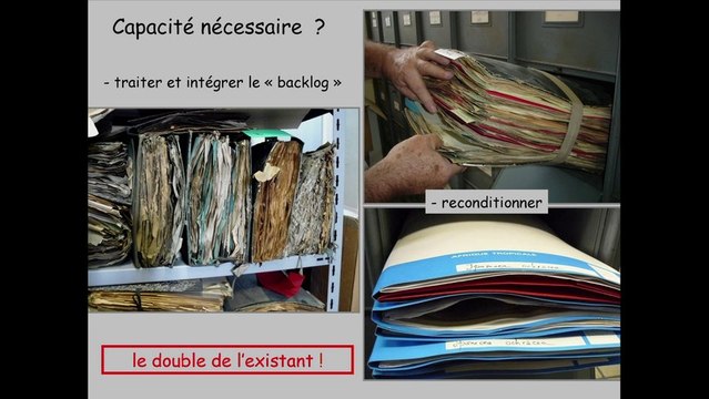 Le patrimoine, ça déménage ! - Renouveau de l'Herbier du Muséum : déménagement, reconditionnement et nouvelle installation dans le même bâtiment