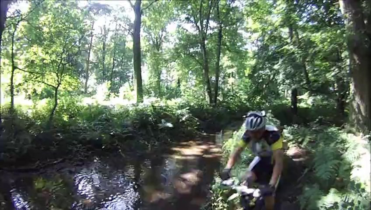 forêt de Roumare