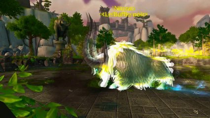 Patch 5.4 : Mascottes du Tournoi des Astres Vénérables