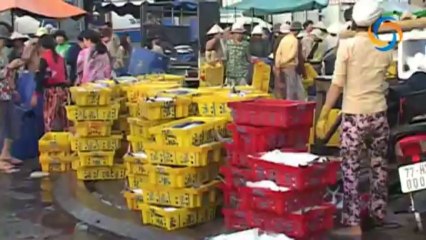 Tình yêu mùa Xuân - Đàm Vĩnh Hưng