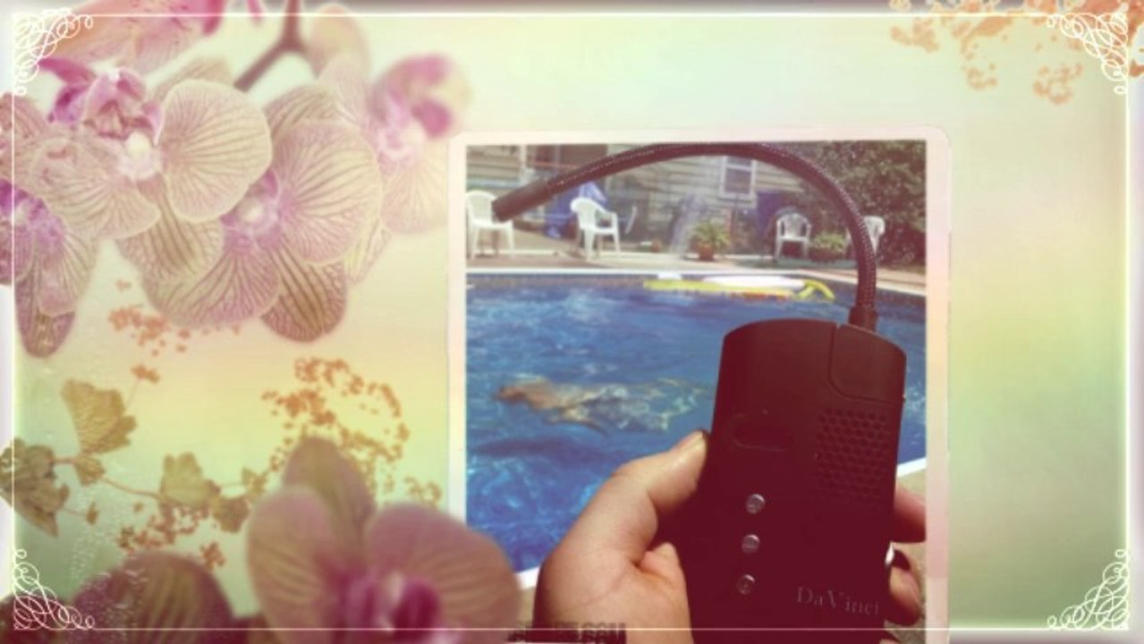 Davinci Vaporizer How To Use - Portable Herbal and Oil Vaporizer Very low priced Review