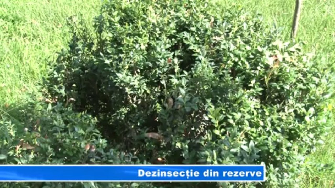DEZINSECTIE DIN REZERVE