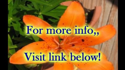 Agricultural Engineering